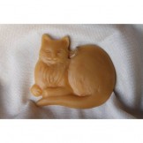 Sitting cat