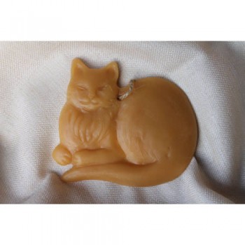 Sitting cat